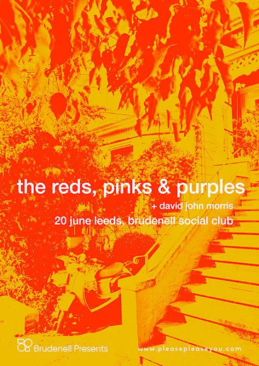 The Reds Pinks  Purples  David John Morris on Thursday 20th June 2024