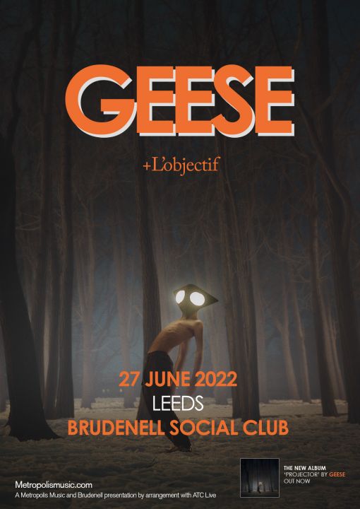 Geese  Lobjectif on Monday 27th June 2022