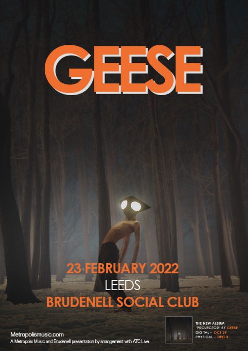 Geese  Guests TBA on Wednesday 23rd February 2022