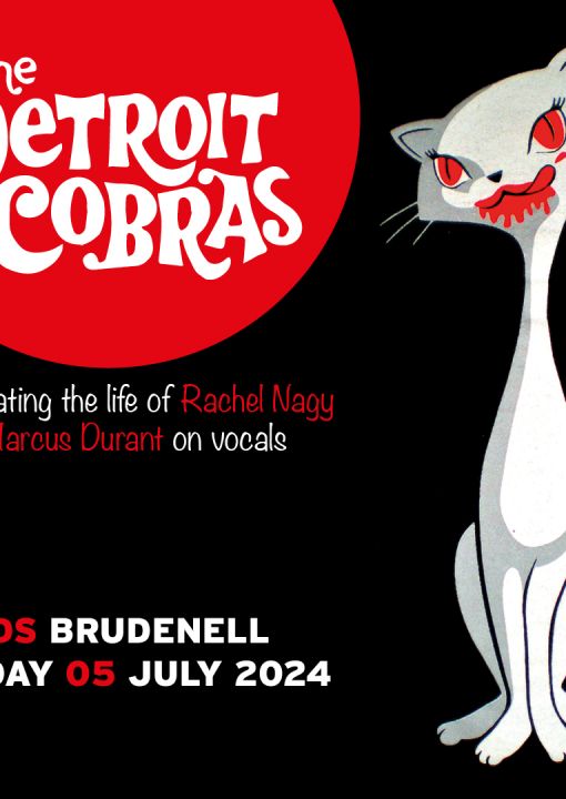 Detroit Cobras Plus Guests on Friday 5th July 2024