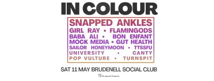 IN COLOUR - Saturday Ft. Snapped Ankles, Girl Ray, Flamingods & MORE! on Saturday 11th May 2024